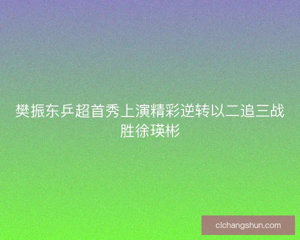 樊振东乒超首秀上演精彩逆转以二追三战胜徐瑛彬
